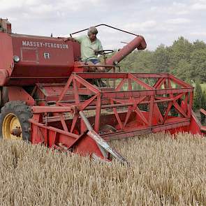 Het graan gaat naar ForFarmers.