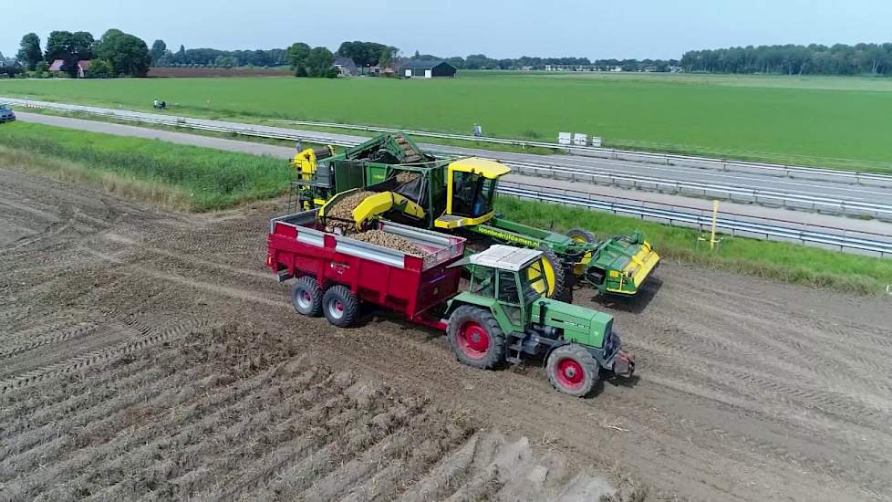 Ukama's vroeg de grond uit - www.akkerwijzer.nl