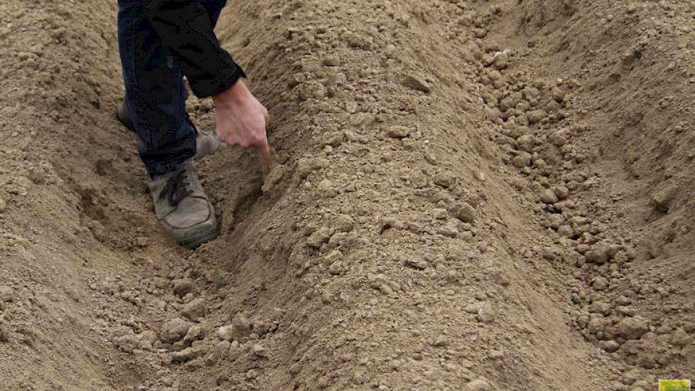 De rug is stevig maar de buitenkant is ruw. Voordelen zijn meer waterinfiltratie en ook minder scheurvorming bij droge omstandigheden omdat water er minder snel afloopt.