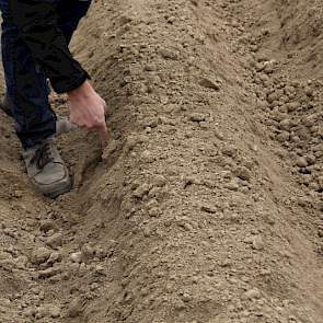 De rug is stevig maar de buitenkant is ruw. Voordelen zijn meer waterinfiltratie en ook minder scheurvorming bij droge omstandigheden omdat water er minder snel afloopt.
