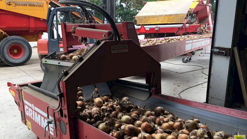Ook zijn collega Harry Schreuder van HarrysFarm in Swifterband (Flevoland) is blij weer aan de slag te zijn. In de ochtend was hij nog afwachtend vanwege dikke mist. “Nu het erf suikerbietenvrij is kunnen we proberen de laatste uien te laden. Alles staat