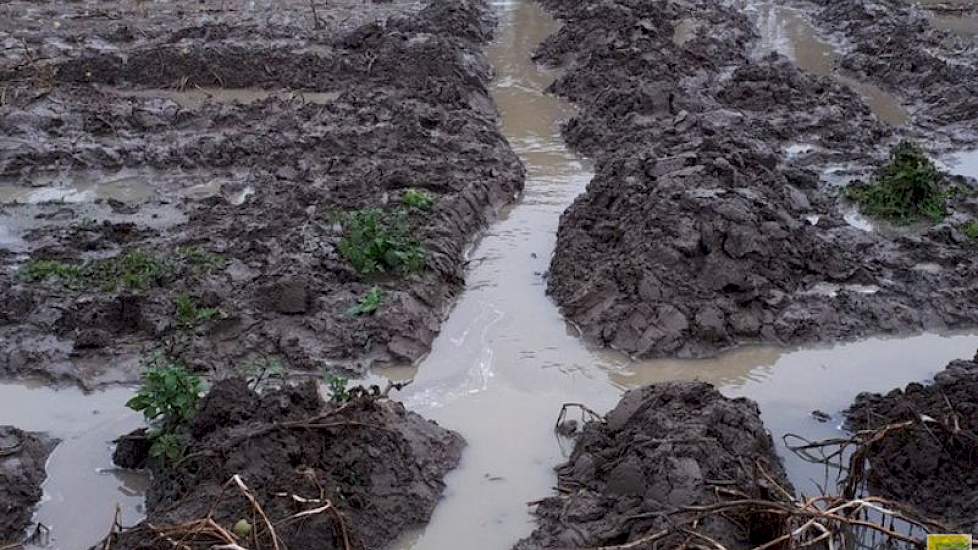 Tonis Boot plaatste deze foto zondag met een kort bericht op twitter.