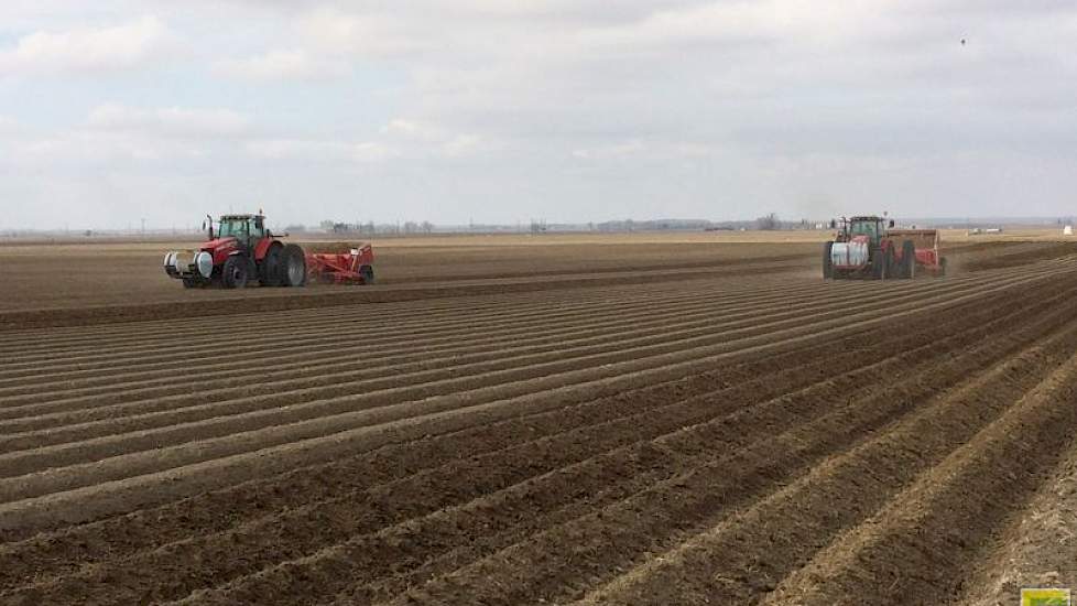 Bennen teelt in totaal circa 420 hectare aardappelen.