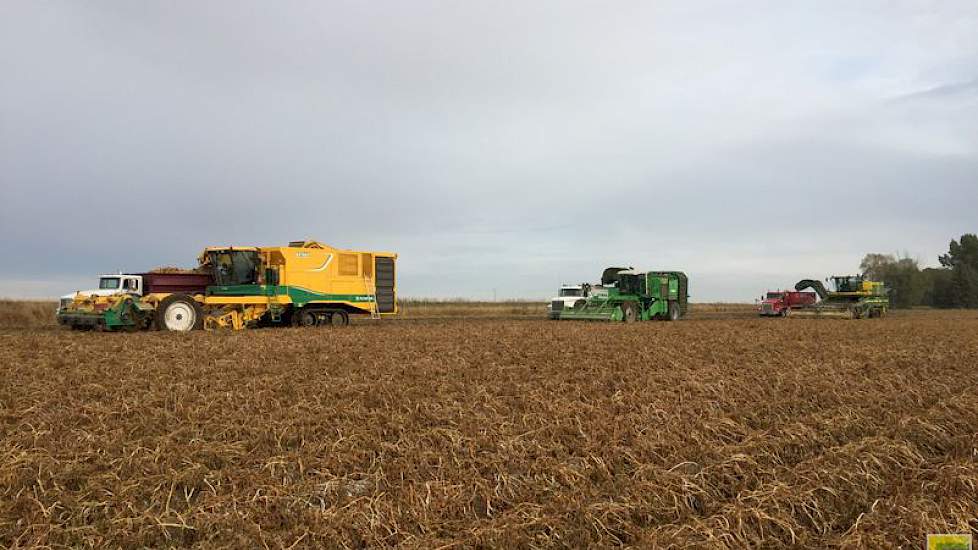 De telers zijn volledig zelfvoorzienend in hun mechanisatie, werken met loonwerkers doen ze niet. ‘Wij hebben bijvoorbeeld drie zelfrijdende aardappelrooiers. Een hoge investering, maar het is niet anders.’