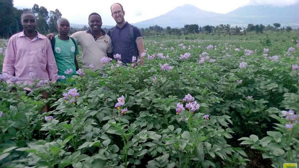 Rwanda maakt een sterke ontwikkeling door als het de aardappelteelt betreft. Goede teelt en goed uitgangsmateriaal vergroten de opbrengsten.