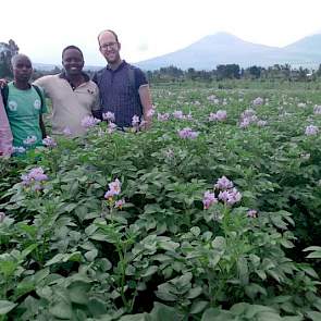 Rwanda maakt een sterke ontwikkeling door als het de aardappelteelt betreft. Goede teelt en goed uitgangsmateriaal vergroten de opbrengsten.