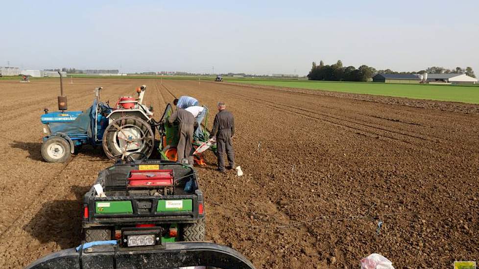 16 oktober: Gestart met de inzaai van een groot demoveld bij de vestiging in Rilland (Zeeland). Naast 18 bekende en nieuwe rassen wintertarwe, liggen er veldjes wintergerst, triticale, spelt, rogge, koolzaad en winterveldbonen.