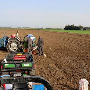 16 oktober: Gestart met de inzaai van een groot demoveld bij de vestiging in Rilland (Zeeland). Naast 18 bekende en nieuwe rassen wintertarwe, liggen er veldjes wintergerst, triticale, spelt, rogge, koolzaad en winterveldbonen.