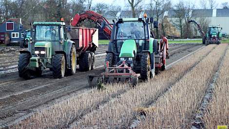 Afgelopen donderdag en vrijdag waren de gebroeders De Wit met hun medewerkers nog druk op een perceel van 5 hectare aan de Westermeerweg, even buiten Tollebeek.