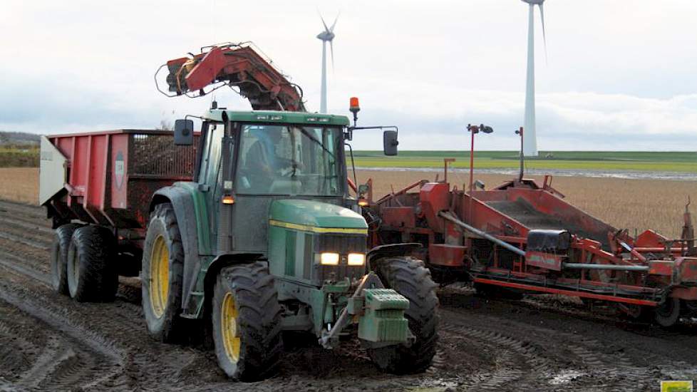 Gebroeders de Wit Bloembollen heeft verbeteringen in teelt en verwerking als van de speerpunten binnen het bedrijf. Voor de bestrijding van aaltjes en virussen wordt niet altijd naar de traditionele producten gegrepen, maar wordt er ook geëxperimenteerd m