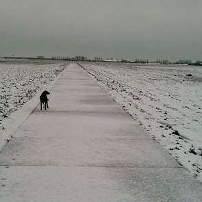 “Ook maar thuis werken dan vanwege code oranje”, zegt akkerbouwmedewerker Rolf van den Berg. Vanuit Hoofddorp in de Haarlemmermeer meldt dat hij een ‘rondje gewasinspectie’ heeft gedaan. “Dat klinkt nuttiger dan 'wandelen met de hond'”, voegt Rolf er grap