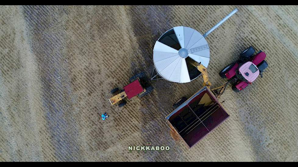 Harvesting Barley in Western Australia - Drone footage in 4k video
