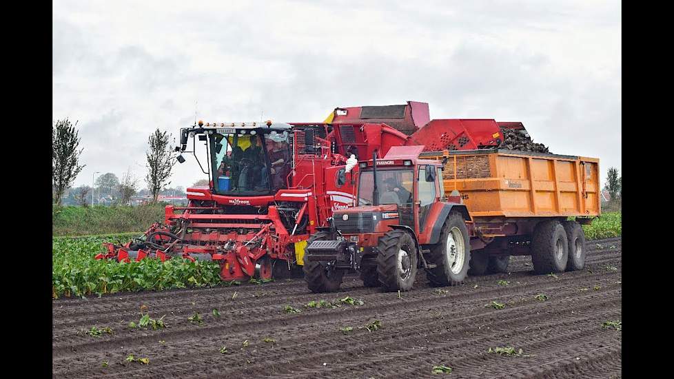 Bieten rooien - Maatschap Tepper Vroomshoop