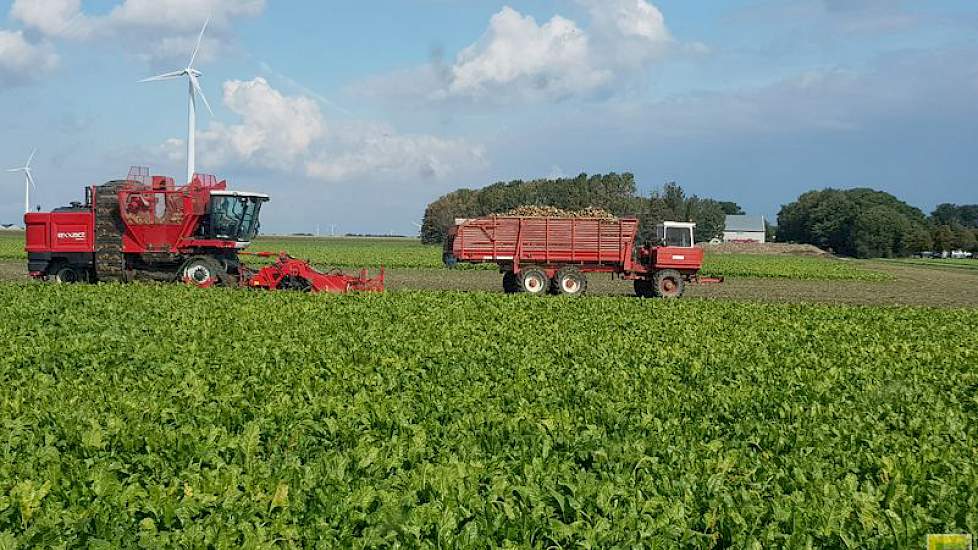 Akkerbouw- en loonbedrijf J. Hut in  Zeewolde bezig met bieten rooien met een Agrifac Exxact Optitraxx en een Dewulf zelfrijdende overlaadwagen. Foto ingestuurd door Jelle Beeren.