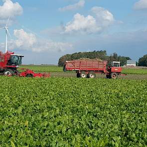 Akkerbouw- en loonbedrijf J. Hut in  Zeewolde bezig met bieten rooien met een Agrifac Exxact Optitraxx en een Dewulf zelfrijdende overlaadwagen. Foto ingestuurd door Jelle Beeren.