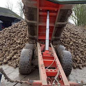 Örjan Schrauwen stuurde bij zijn foto bijgaande tekst: '4 november ook gerooid. 115,1 ton met 17, 22 % suiker = 19.825 kg/suiker ha.'