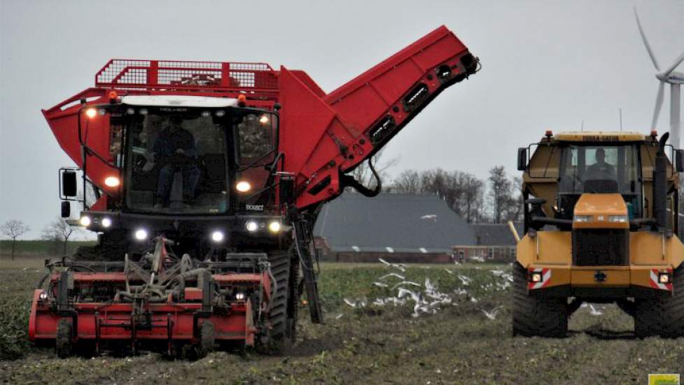 Henk Fokkens vereeuwigde in het Noordgroningse  Hornhuizen hoe de bieten met een Agrifac Exxact OptiTraxx op rupsbanden door Loonbedrijf Dam op  werden gerooid. Voor het transport op het perceel zijn rupsdumpers van  Jelle Bijlsma ingezet. Op de overslag