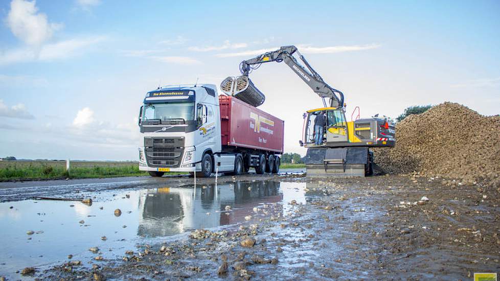 Bieten laden op de eerste campagnedag in de Groningse  Emmapolder. Foto: Jpn Fotografie.