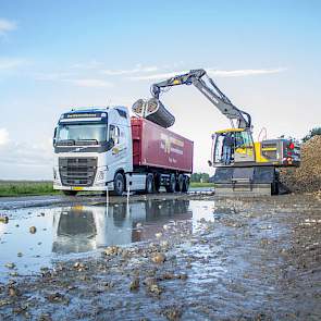Bieten laden op de eerste campagnedag in de Groningse  Emmapolder. Foto: Jpn Fotografie.
