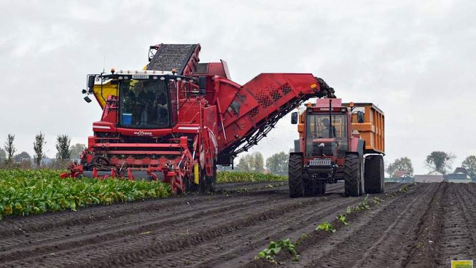 Maatschap Tepper in  Vroomshoop rooide begin november probleemloos de bieten. Ad Tepper: „De bieten zijn gerooid door loonbedrijf Wardenier en door onszelf naar de bult gebracht. Op deze dag was Tom Egberts aanwezig voor foto's en  om met zijn drone een m
