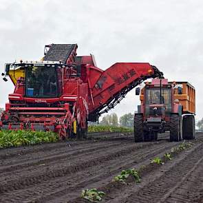 Maatschap Tepper in  Vroomshoop rooide begin november probleemloos de bieten. Ad Tepper: „De bieten zijn gerooid door loonbedrijf Wardenier en door onszelf naar de bult gebracht. Op deze dag was Tom Egberts aanwezig voor foto's en  om met zijn drone een m