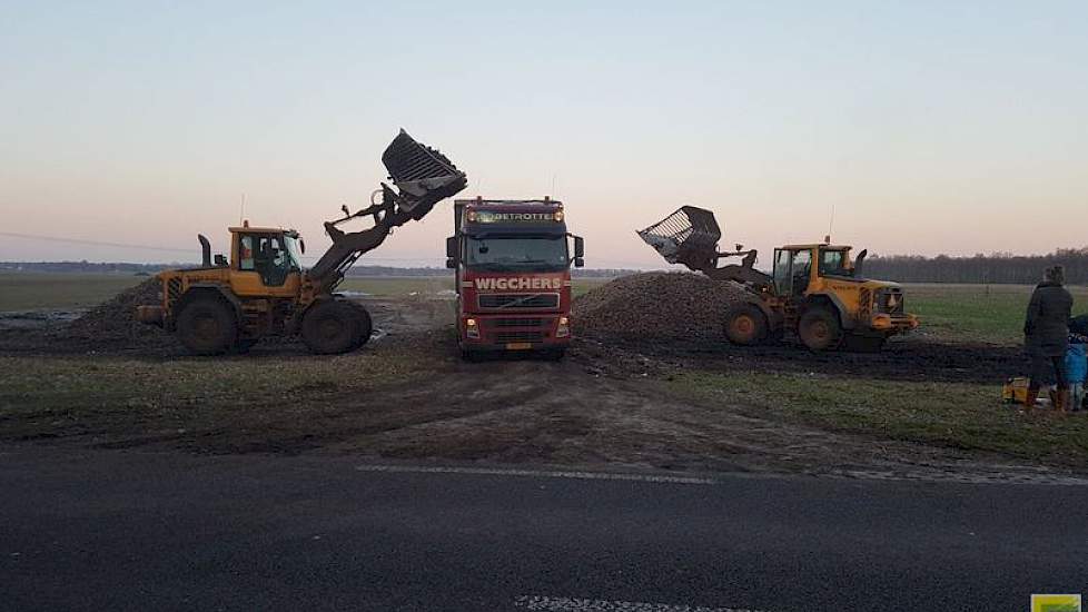 De bietencampagne loopt deze week ten einde. Levert ook weer unieke plaatjes op, twittert Wigchers Transport uit Schoonoord.
