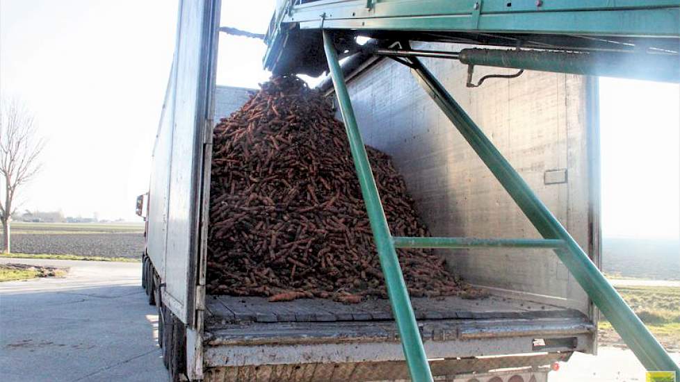 De afgelopen dagen heeft Goense diverse vrachtwagens op zijn erf vol peen geladen. De lading per vrachtauto varieerde van 26 tot 39 kisten.