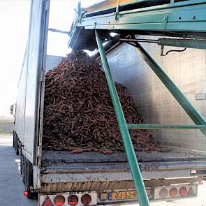 De afgelopen dagen heeft Goense diverse vrachtwagens op zijn erf vol peen geladen. De lading per vrachtauto varieerde van 26 tot 39 kisten.
