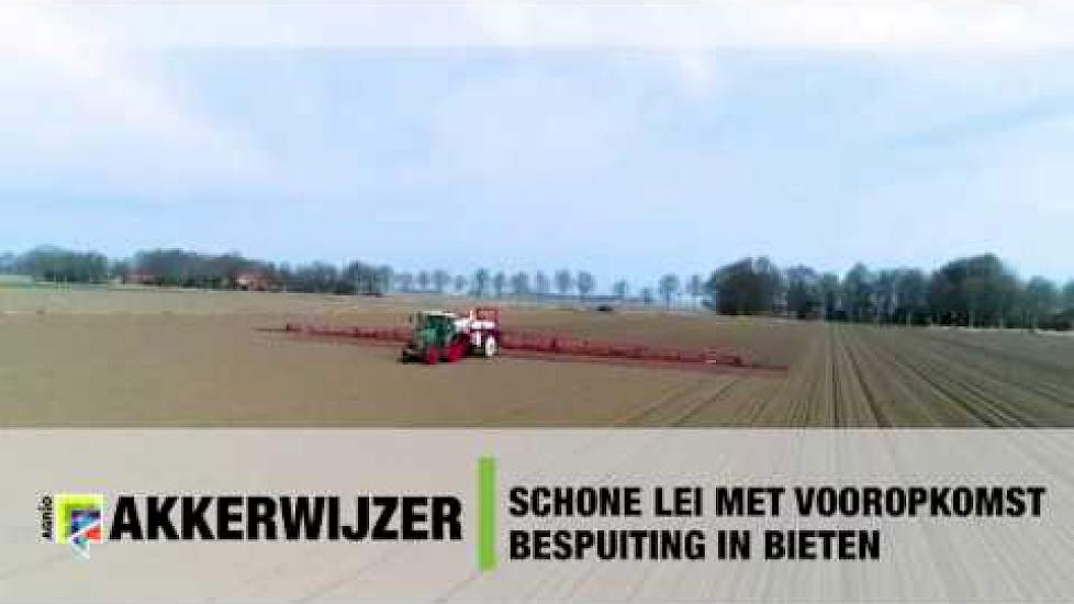 Onkruid spuiten in bieten - Akkerwijzer.nl