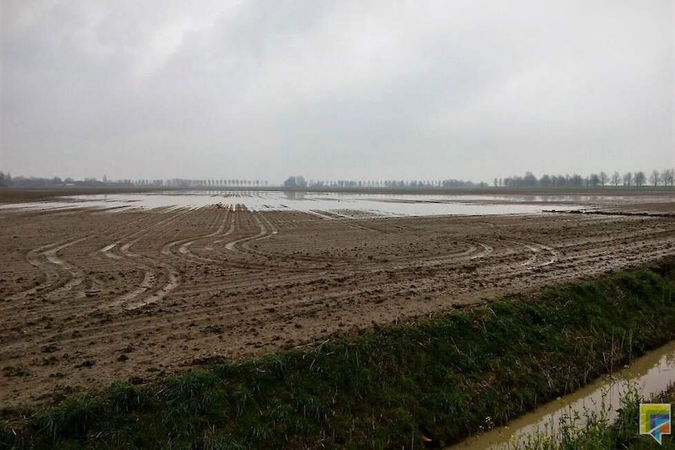 In de Hoeksche Waard viel dinsdagavond 10 januari plaatselijk ruim 50 mm regen.