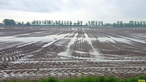 Een perceel net gezaaide uien in de Hoeksche Waard stond maandag compleet blank.