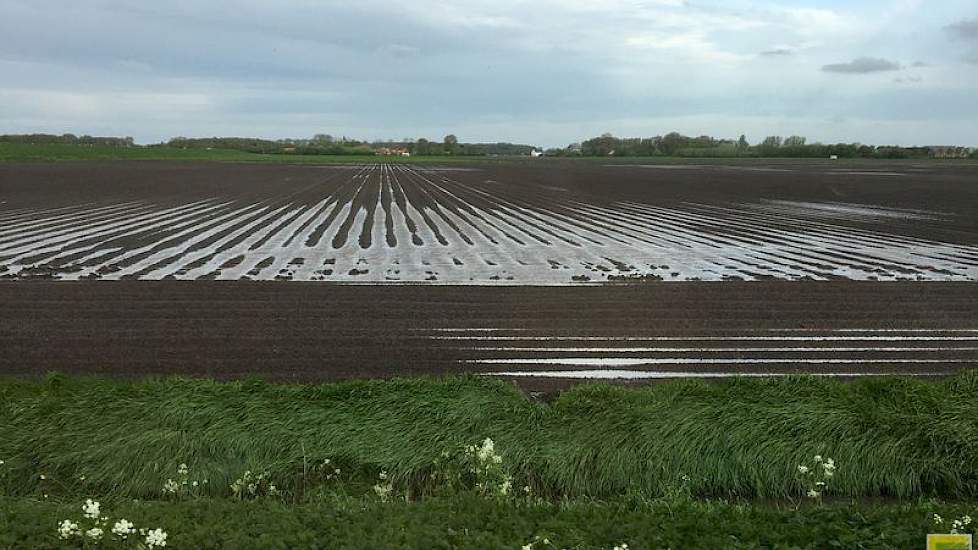 Wateroverlast op Schouwen-Duiveland.