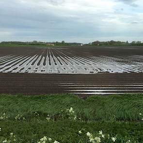 Wateroverlast op Schouwen-Duiveland.