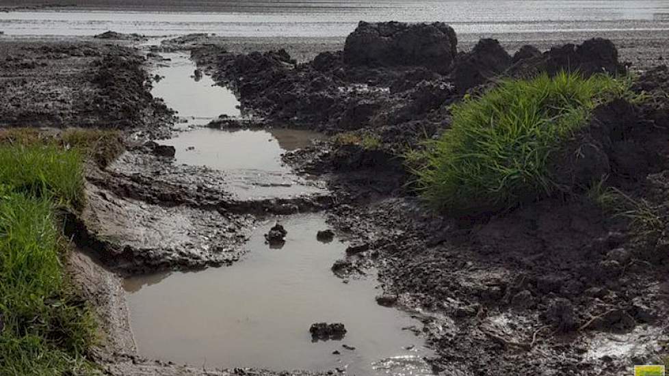 Novifarm in Numansdorp twitterde dinsdag: '1 mei en de kraan is al in het land geweest om geulen te graven vanwege overvloedige regenval!'