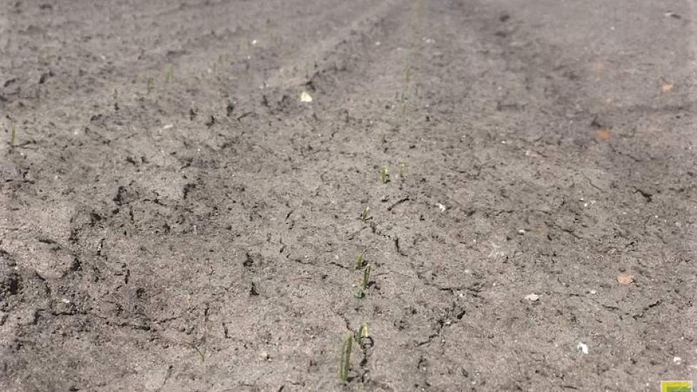 Theo VEP‏ @TheoEedenPeters 4 mei: Genieten in de polder. #landschapspracht