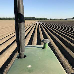 Blitterswijk Agro‏ @BlitAgro 8 mei: #Landschapspracht Mooie basis voor een optimale peen teelt.