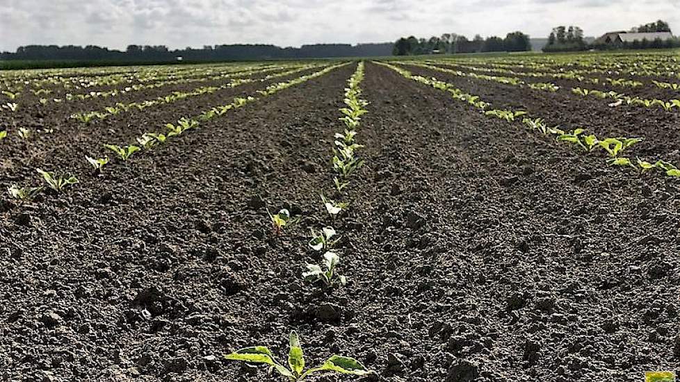 Erik Nagelhoud‏ @ErikNagelhoud 11 mei: Nog wat #landschapspracht, grondstoffen voor iedereen en iedere dag. De #Akker voedt ons allemaal.