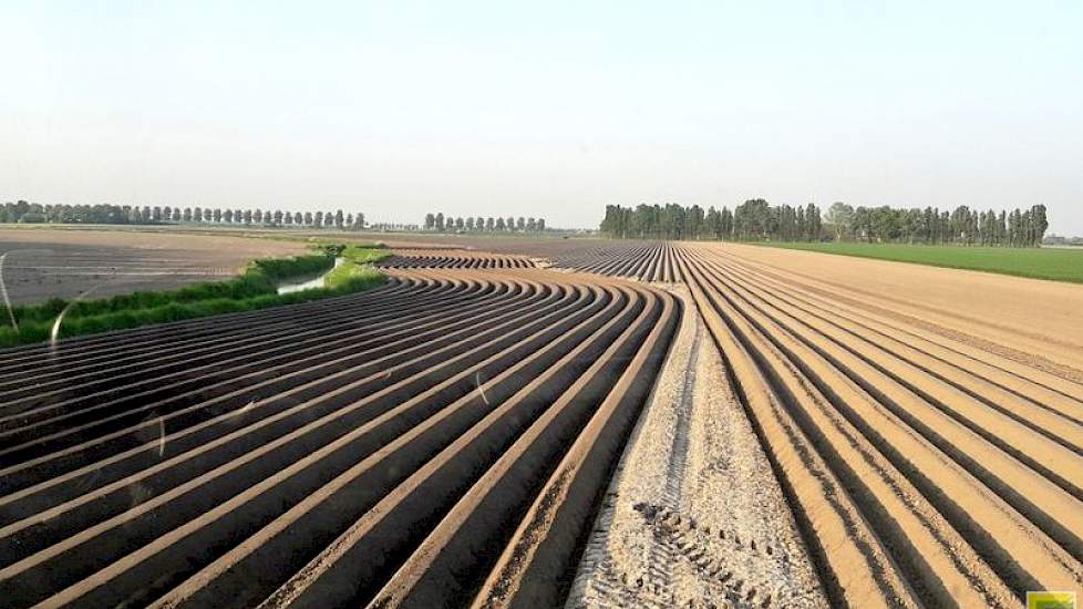 Nils van Tilbeurgh‏ @nilsvtilbeurgh 9 mei:  Bochtige slootkanten zijn niet handig maar als ze er zo bijliggen kan het bijna onder #landschapspracht vallen. @Trimble_Ag