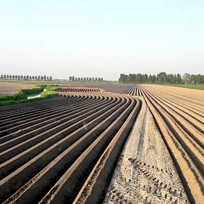 Nils van Tilbeurgh‏ @nilsvtilbeurgh 9 mei:  Bochtige slootkanten zijn niet handig maar als ze er zo bijliggen kan het bijna onder #landschapspracht vallen. @Trimble_Ag