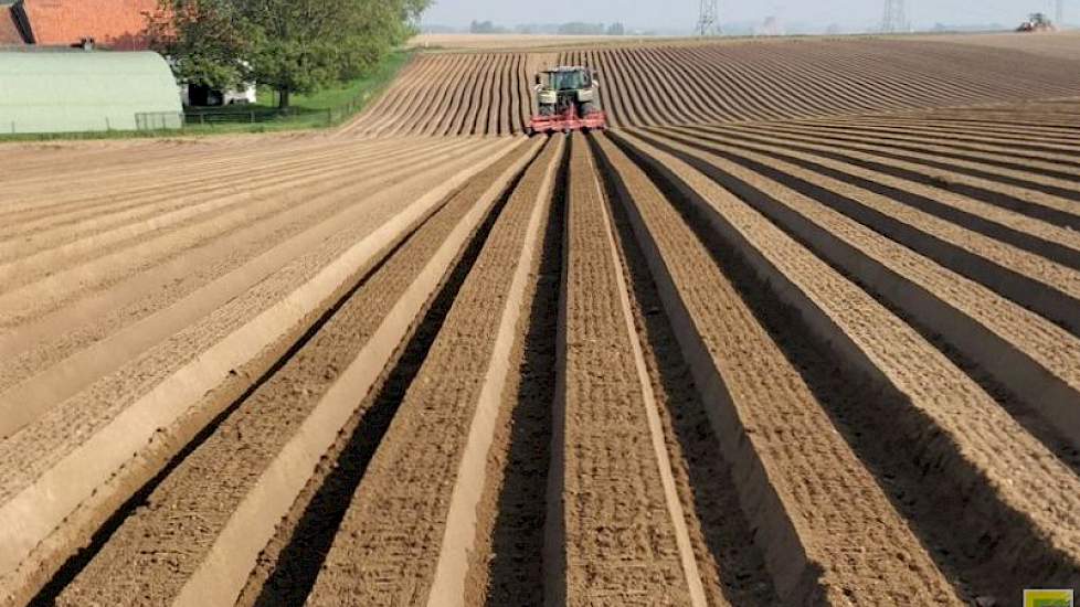 Toine den Tweeter‏ @ntone 9 mei: Hier komt uw witloof voor volgend seizoen. #aglife #landschapspracht