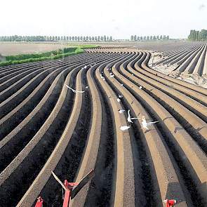 Nils van Tilbeurgh‏ @nilsvtilbeurgh 9 mei: Bochtige slootkanten zijn niet handig maar als ze er zo bijliggen kan het bijna onder #landschapspracht vallen. @Trimble_Ag