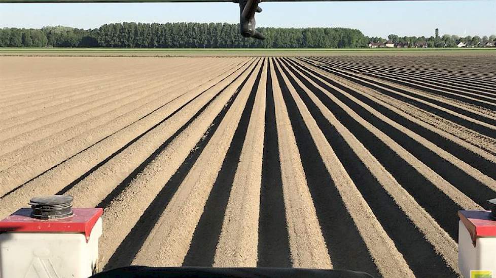 Blitterswijk Agro‏ @BlitAgro 8 mei: #Landschapspracht Mooie basis voor een optimale peen teelt.