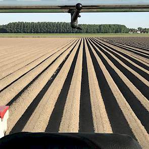 Blitterswijk Agro‏ @BlitAgro 8 mei: #Landschapspracht Mooie basis voor een optimale peen teelt.