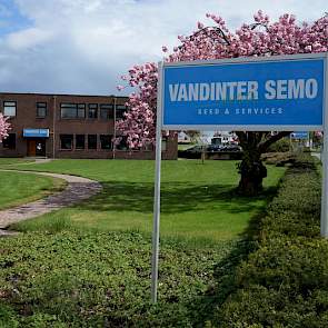 Aan de rand van het Groningse Oldambt zetelt Vandinter Semo. De voorgangers van deze producent en verwerker van zaaizaad vestigden zich in 1914 in Scheemda. Een eeuw verder zijn zaadteelt en zaadhandel nog steeds kernactiviteiten, onder meer koolzaadverme