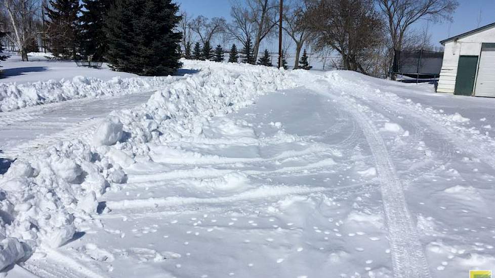 Begin april zat Bennen nog midden in een dik pak sneeuw. Met Pasen lag in Vauxhall, Alberta nog een halve meter sneeuw.
