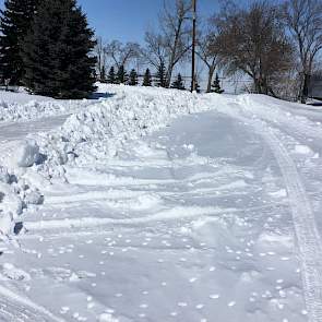 Begin april zat Bennen nog midden in een dik pak sneeuw. Met Pasen lag in Vauxhall, Alberta nog een halve meter sneeuw.