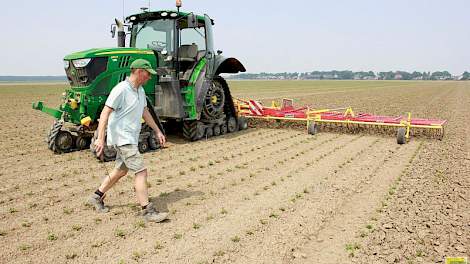 Ard van Gaalen van akkerbouwbedrijf Biostee bv in Zuid-Beijerland, heeft afgelopen week de grond van 8 hectare biologische knolselderij met de wiedeg opengelegd. Akkerbouwbedrijf Biostee bv is een samenwerkingsverband van de akkerbouwers Pieter Hugo Visse