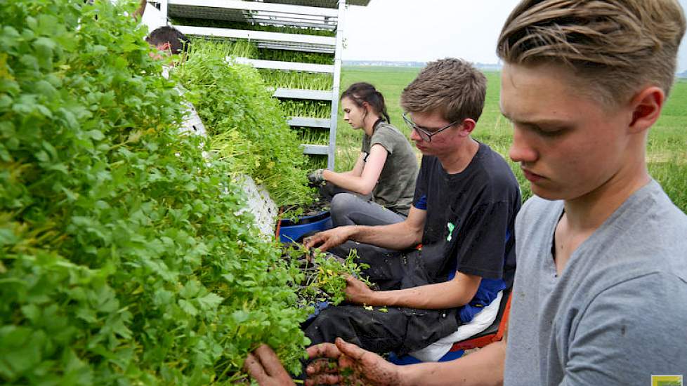 „De sloten stonden net zo hoog als het land. Er is 35 millimeter gevallen. We hebben het er helaas net niet in gekregen.”