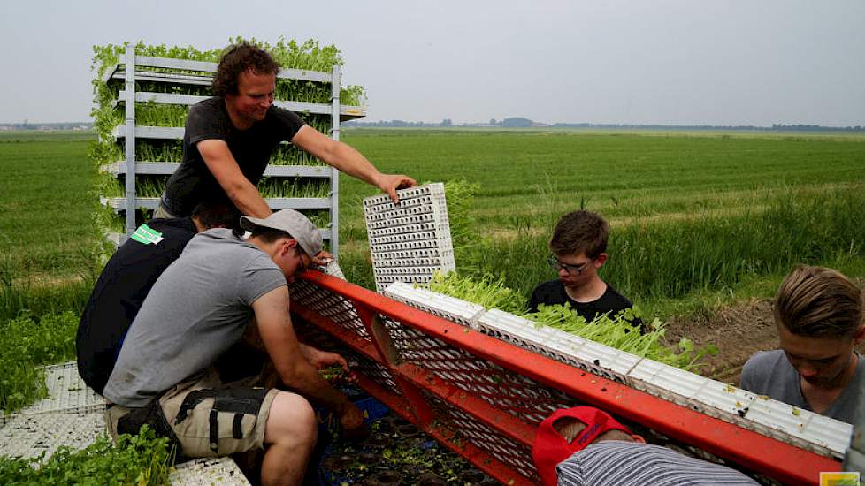 De zes-rijige planter ging al snel kapot. „Daar konden  we alleen nog maar mee  frezen”, zegt medewerker Roy Kreeft.