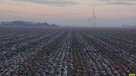 Op gronden boven de 25 procent afslibbaar herstelt de structuur meer uit zichzelf, vooral door krimpen en zwellen. Op lichtere gronden is een woelpoot een hulpmiddel, maar wel als de ondergrond goed droog is, zegt teeltadviseur Pierre Cammaert van Delphy.